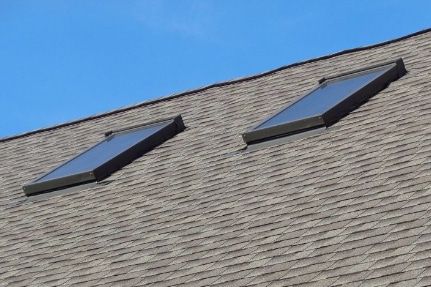 DSC00203_edit (1).jpg