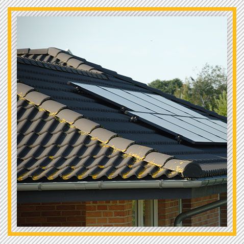 images_yellow border 1.jpg