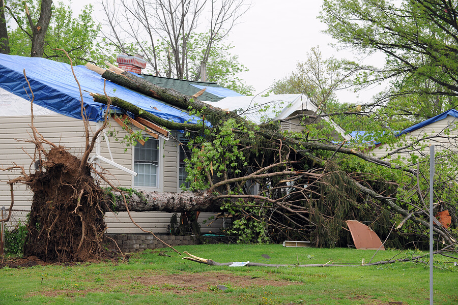 blue roof tarp bloomington il